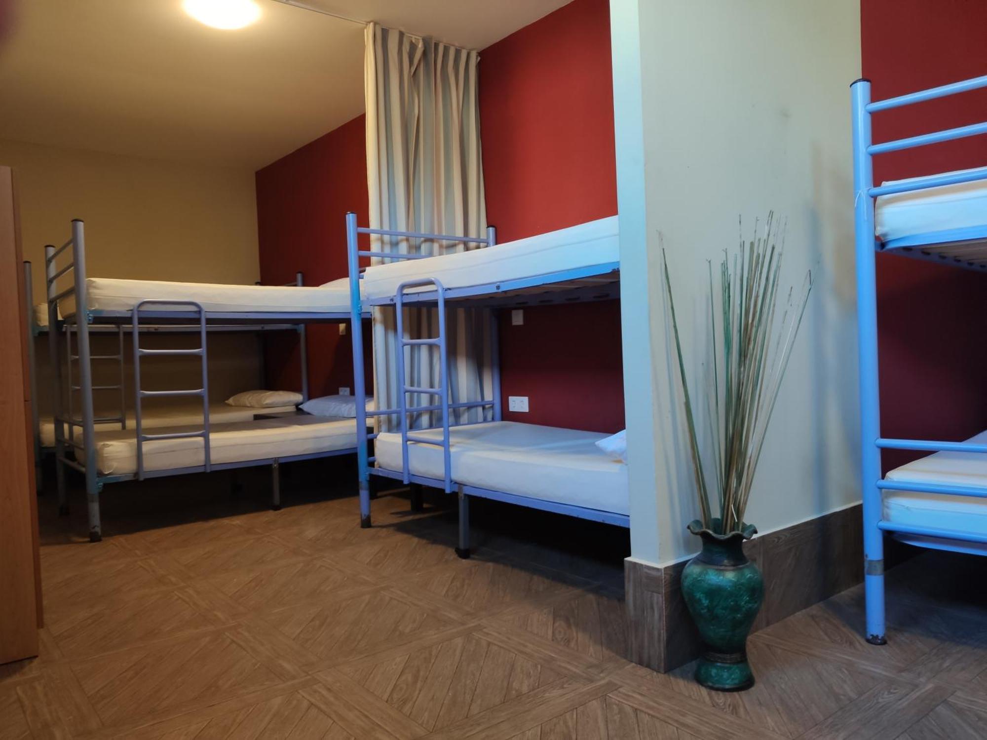 Albergue O Logoso Campelo Rom bilde